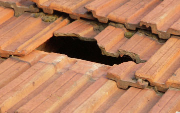 roof repair Whitton